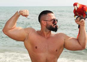 Totul despre „bulking” în fitness: ce înseamnă, cui se adresează şi 3 aspecte importante când ne dorim creşterea masei musculare