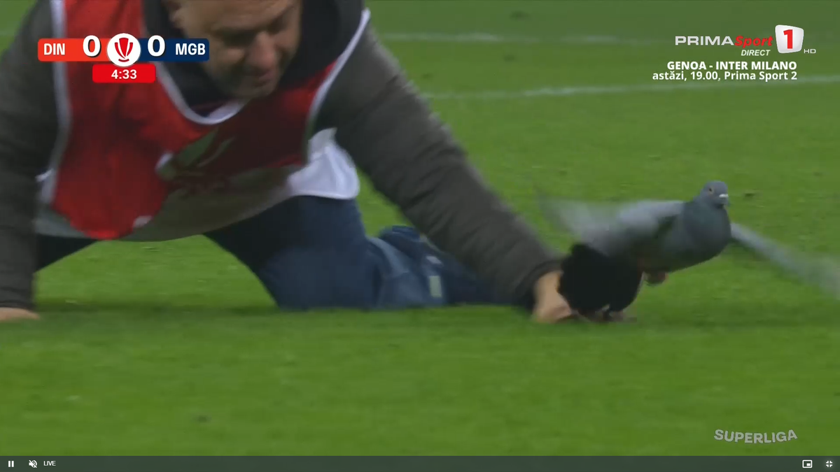 Scene rar văzute în timpul unui meci, la Dinamo - Metaloglobus » „Acum ai grijă ce faci cu el”