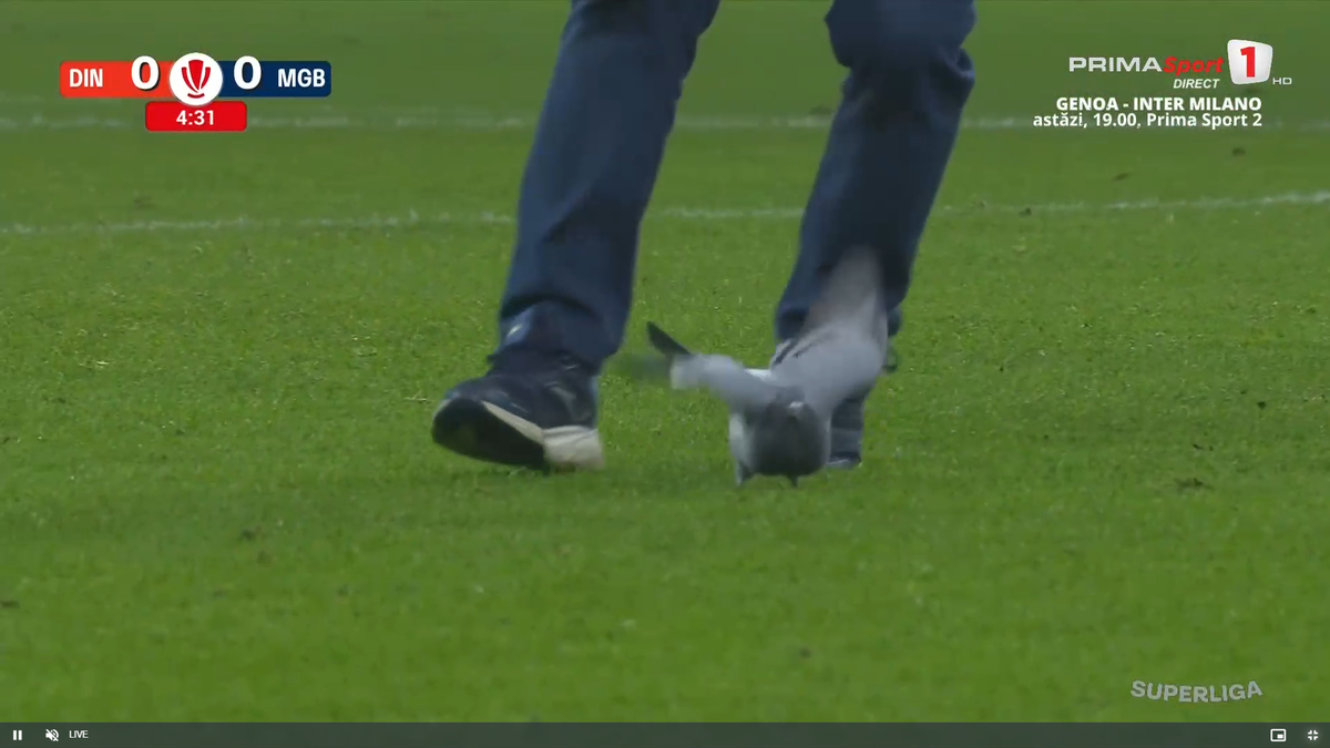 Scene rar văzute în timpul unui meci, la Dinamo - Metaloglobus » „Acum ai grijă ce faci cu el”