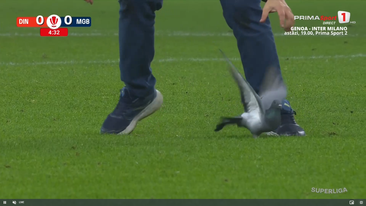 Scene rar văzute în timpul unui meci, la Dinamo - Metaloglobus » „Acum ai grijă ce faci cu el”