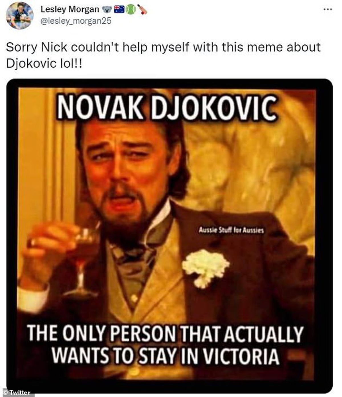 Meme-uri Novak Djokovic
