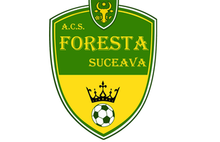 Drept la replică Foresta Suceava: „Facem totul corect și transparent. Farid Khallaf e direct interesat să distrugă clubul”