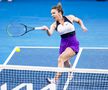 Cine transmite Simona Halep - Serena Williams la TV și unde se vede live online