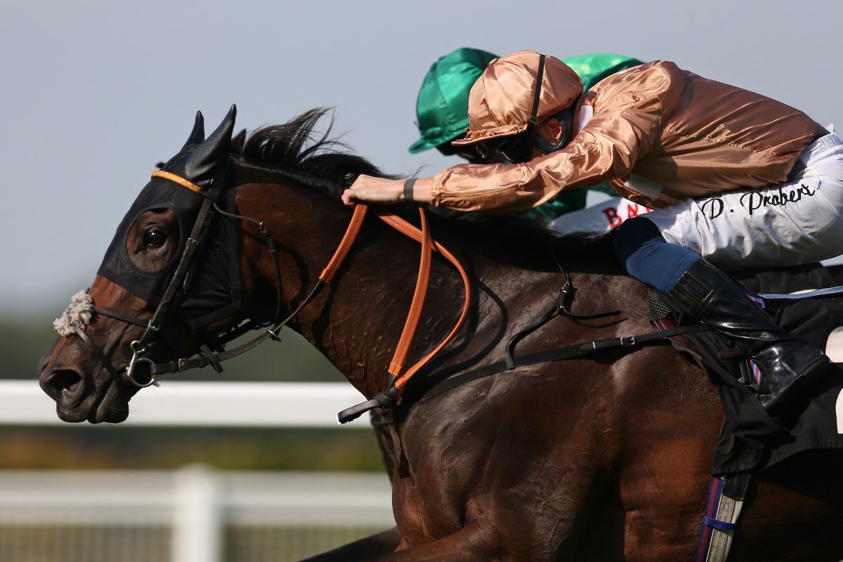 Schimbare după 313 ani! Cursa de cai la care participă familia regală din Marea Britanie renunță la una din tradiții