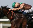 Imagini spectaculoase de la Royal Ascot, cea mai importantă cursă de cai din Marea Britanie // FOTO: Guliver/GettyImages