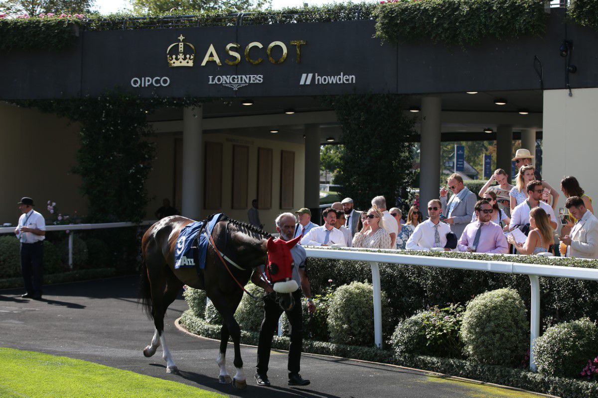 Schimbare după 313 ani! Cursa de cai la care participă familia regală din Marea Britanie renunță la una din tradiții