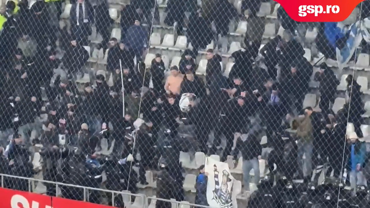 Bătaie în peluză la Dinamo - Farul