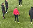 Dinamo - Farul, runda #27 din Superliga // Imagini surprinse înainte de meci