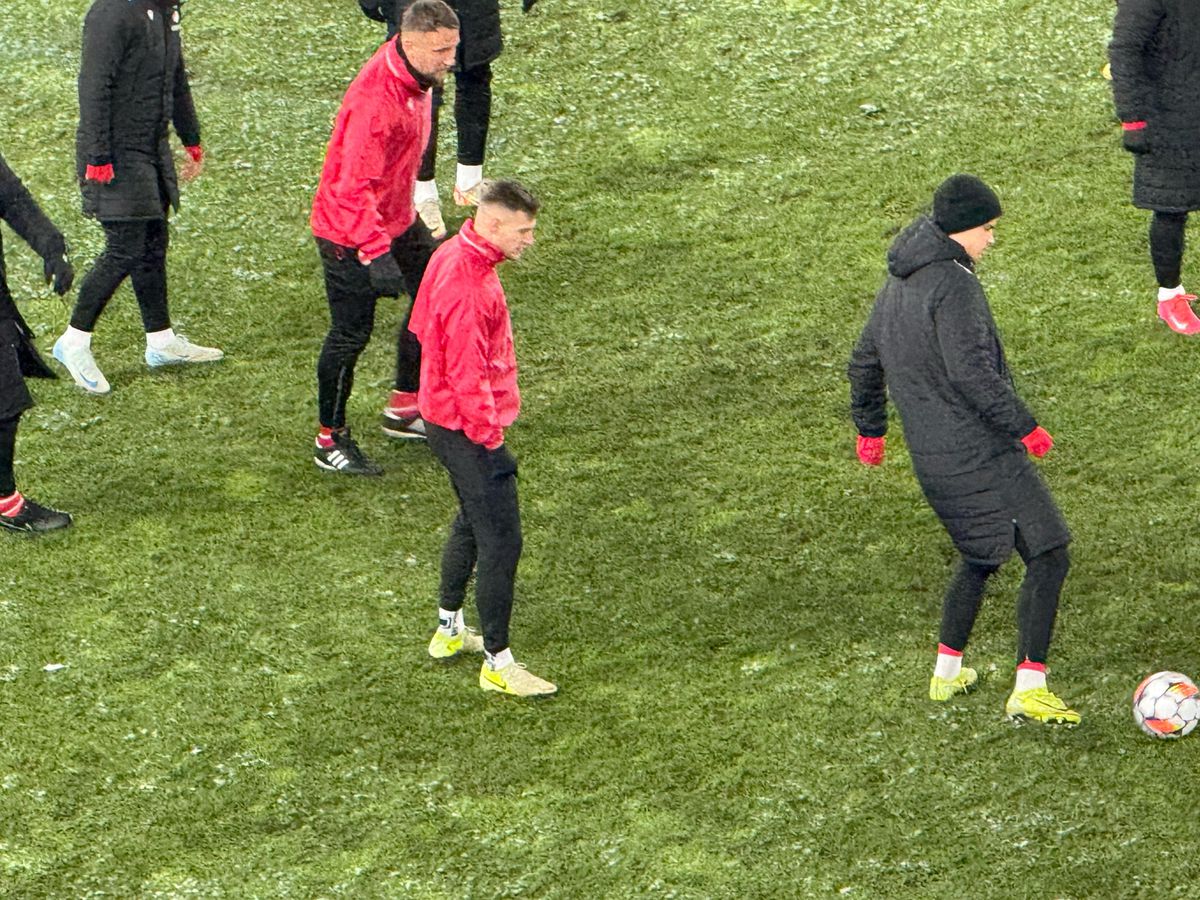 Dinamo - Farul, runda #27 din Superliga // Imagini surprinse înainte de meci