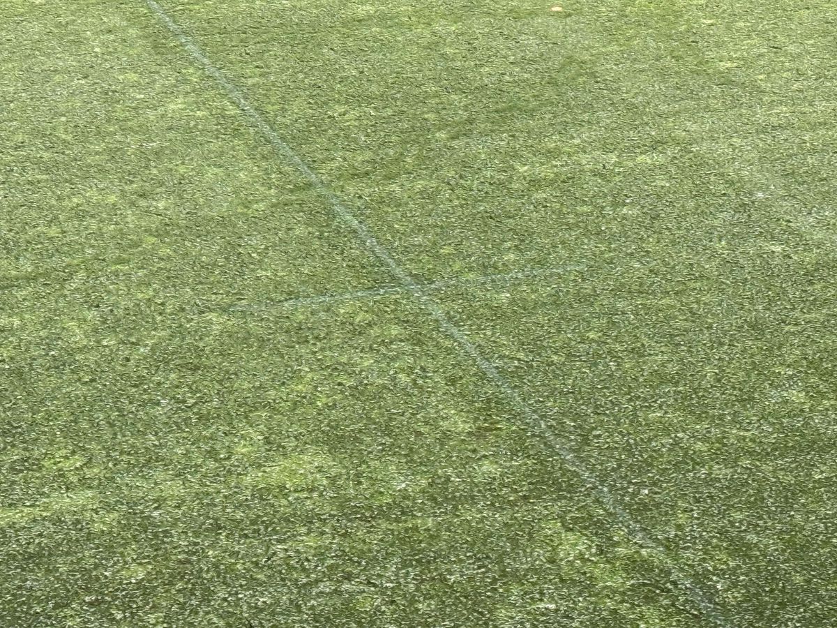 Dinamo - Farul, runda #27 din Superliga // Imagini surprinse înainte de meci