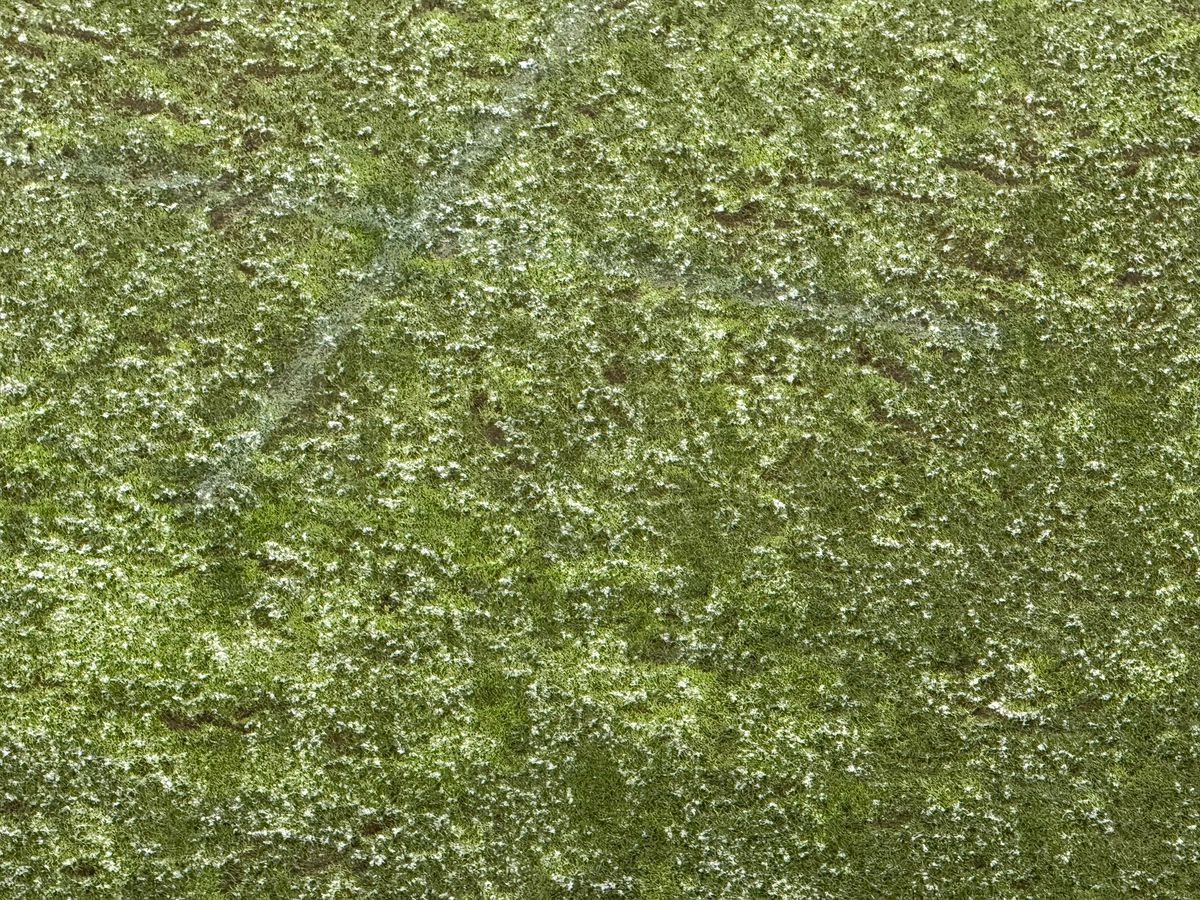 Dinamo - Farul, runda #27 din Superliga // Imagini surprinse înainte de meci