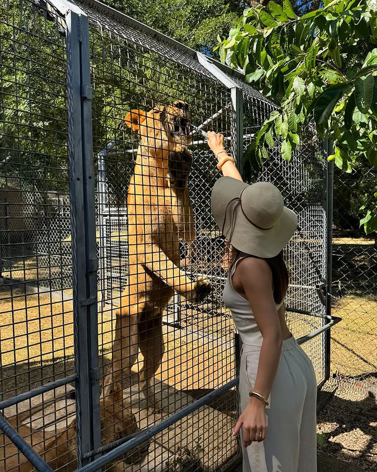 Laury Avril / Foto: Instagram