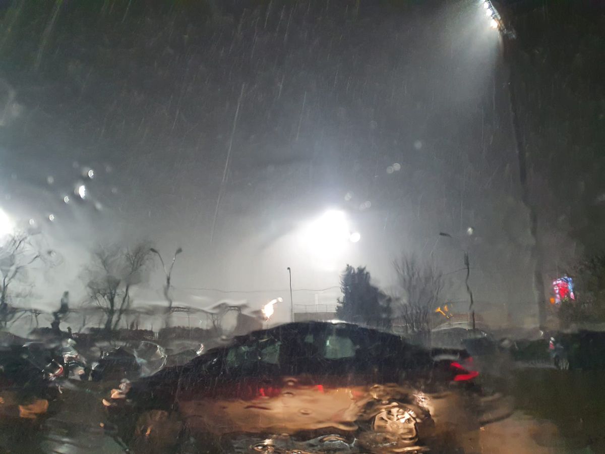 Dinamo - FC Argeș 1-2. VIDEO + FOTO „Câinii”, matematic în play-out! Malele îi duce pe piteșteni la un punct de marele vis: play-off-ul