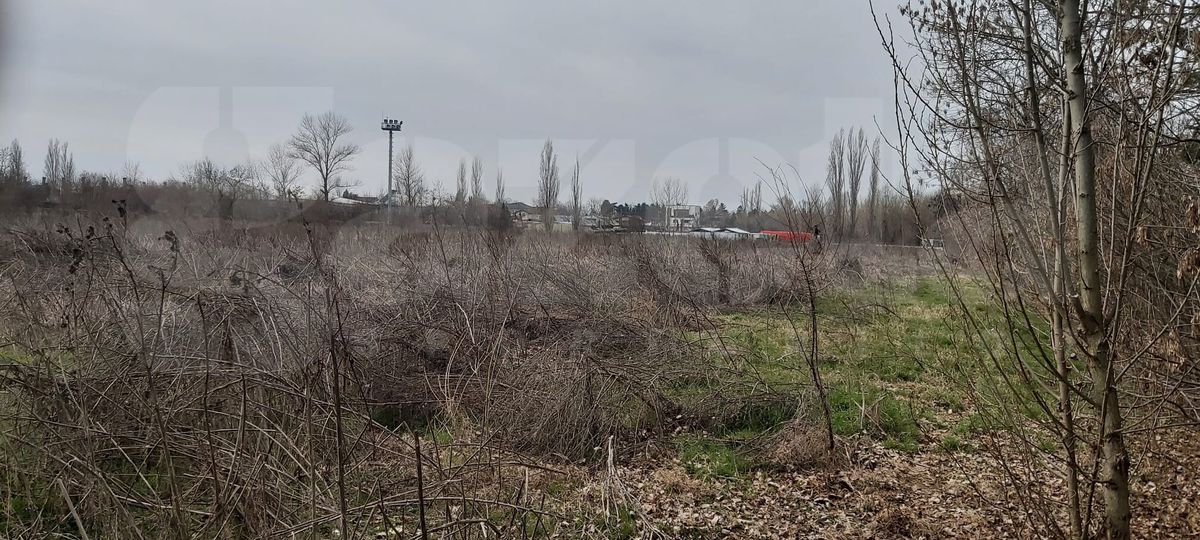 Șucu refuzat, Pro Rapid va fi modernizată din bani publici! Contract semnat: la cât se ridică investiția