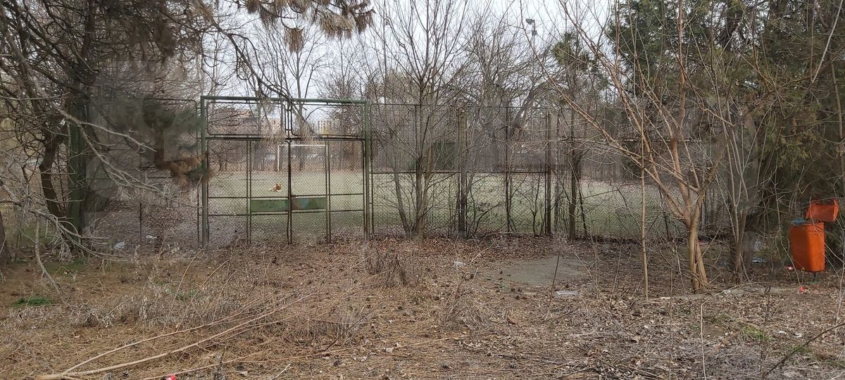 Șucu refuzat, Pro Rapid va fi modernizată din bani publici! Contract semnat: la cât se ridică investiția