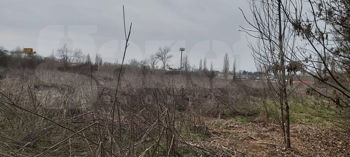 Cum arată baza Pro Rapid în martie 2022