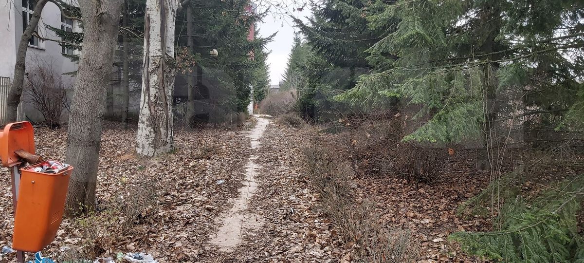 Cum arată baza Pro Rapid în martie 2022