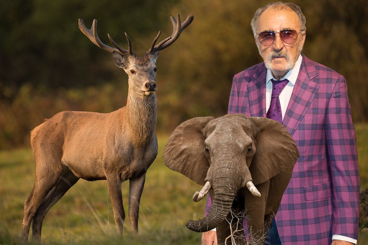 Ion Țiriac a plecat la vânătoare pe ruta Noua Zeelandă - Namibia: „O treabă foarte nepopulară, dar cerbul ăsta s-ar putea să fie un record mondial!”