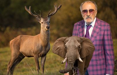 Ion Țiriac a plecat la vânătoare pe ruta Noua Zeelandă - Namibia: „O treabă foarte nepopulară, dar cerbul ăsta s-ar putea să fie un record mondial!”
