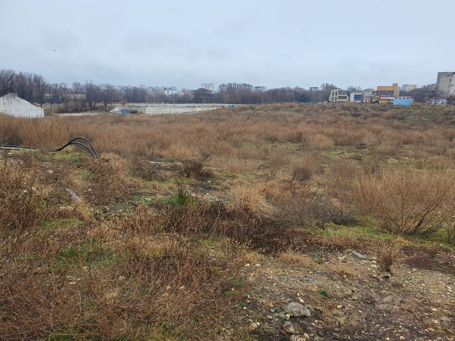 Constanța, raiul ruinelor! Polivalenta de pe litoral e șantierul groazei, iar prețul crește amețitor! + Pădurea din groapa „Farul” și alte trei baze sportive în stare jalnică