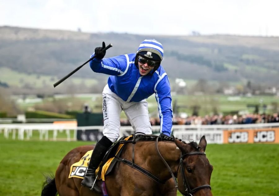 Jinjo O'Neill, trecând primul linia de sosire cu outsiderul Poniros, în cursa de obstacole de la Cheltenham Lovitură reușită de un proprietar de club din Premier League » A câștigat incredibil, pornind cu cotă 100-1!