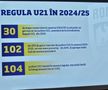 Mihai Stoichiță, reacție tranșantă după ce Pancu l-a dat drept înlocuitorul lui la Euro U21