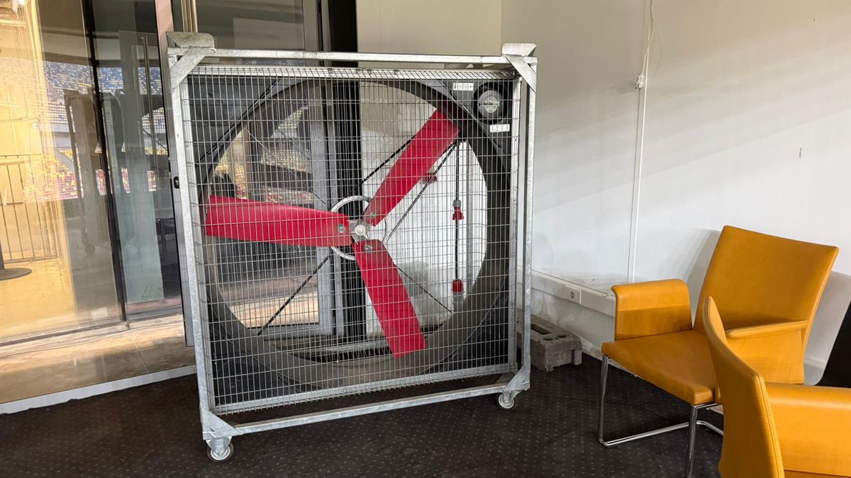 Ilie Dumitrescu a „scanat” sistemul lui Rădoi la FCSB: „Un jucător cu o tehnică superioară pentru poziția lui”