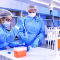 Doi medici din Brazilia care fac cercetare pe noul coronavirus, pentru a ajuta la descoperirea unui nou vaccin. foto: Guliver/gettyimages