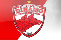 „Câinii” vor avea o nouă siglă: „Sunt prea multe echipe cu numele Dinamo în acest moment”