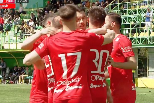 CS Mioveni - FC Hermannstadt 0-2