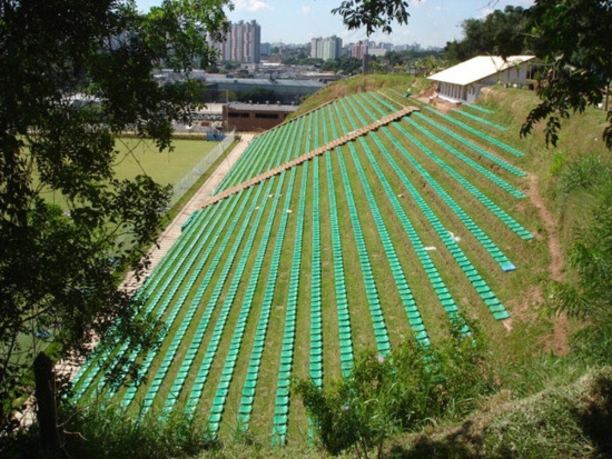 Stadioane ciudate