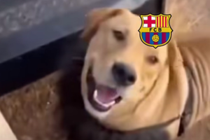„Dame un grrrrr” » Atletico Madrid a râs de Barcelona pe internet