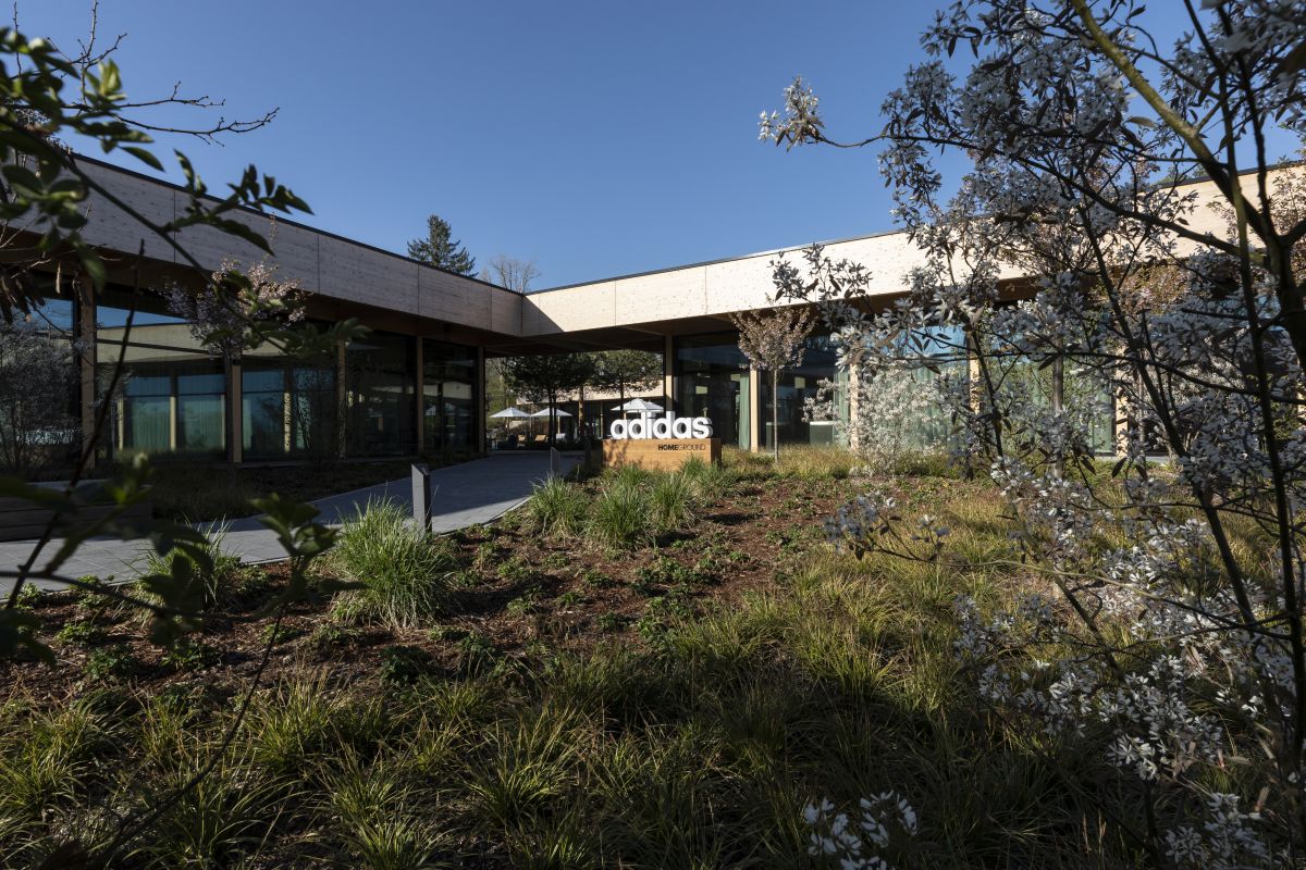 Nemții, ca-n Brazilia! Au copiat o alegere pe care au făcut-o şi în 2014, când au câştigat titlul mondial