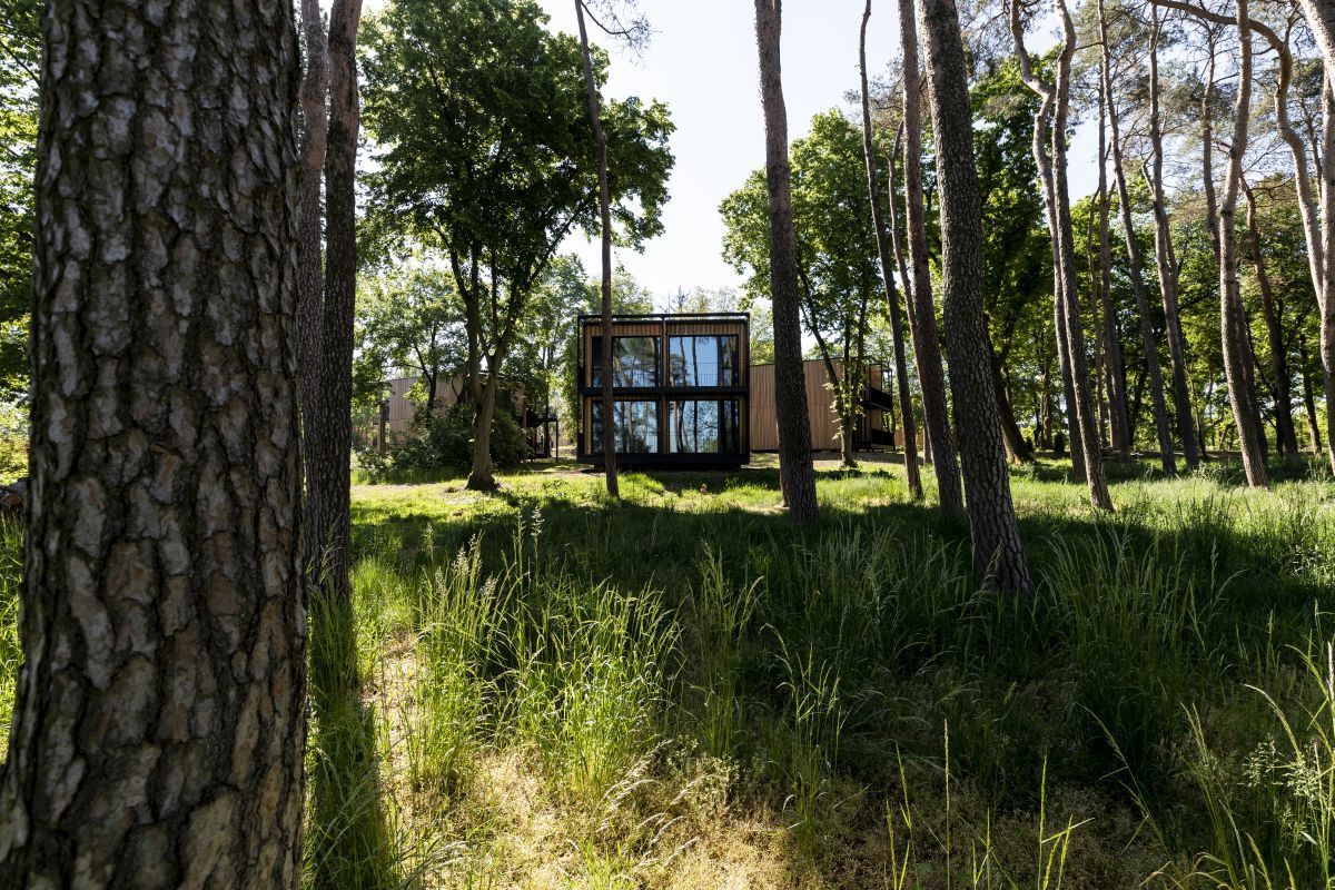 Nemții, ca-n Brazilia! Au copiat o alegere pe care au făcut-o şi în 2014, când au câştigat titlul mondial