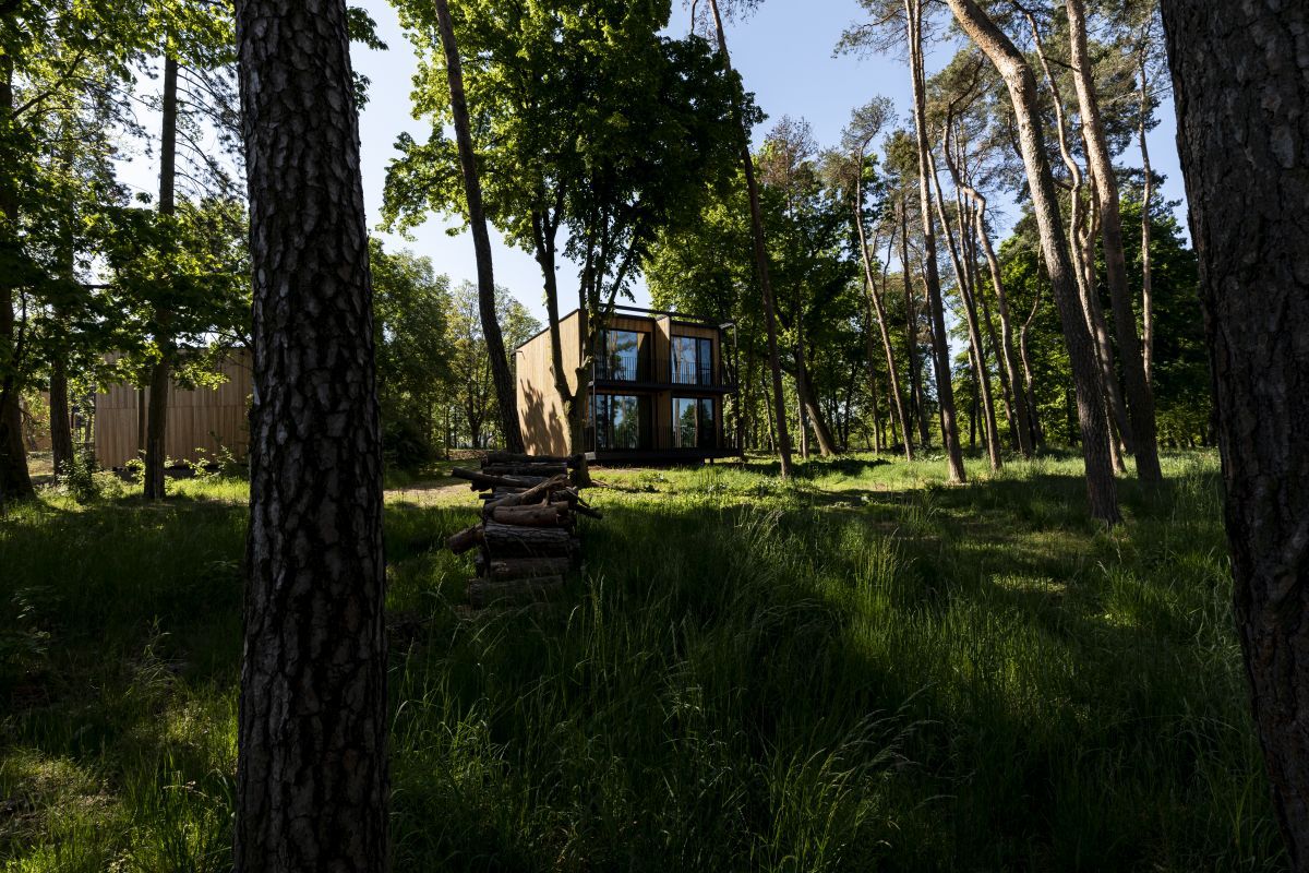 Nemții, ca-n Brazilia! Au copiat o alegere pe care au făcut-o şi în 2014, când au câştigat titlul mondial