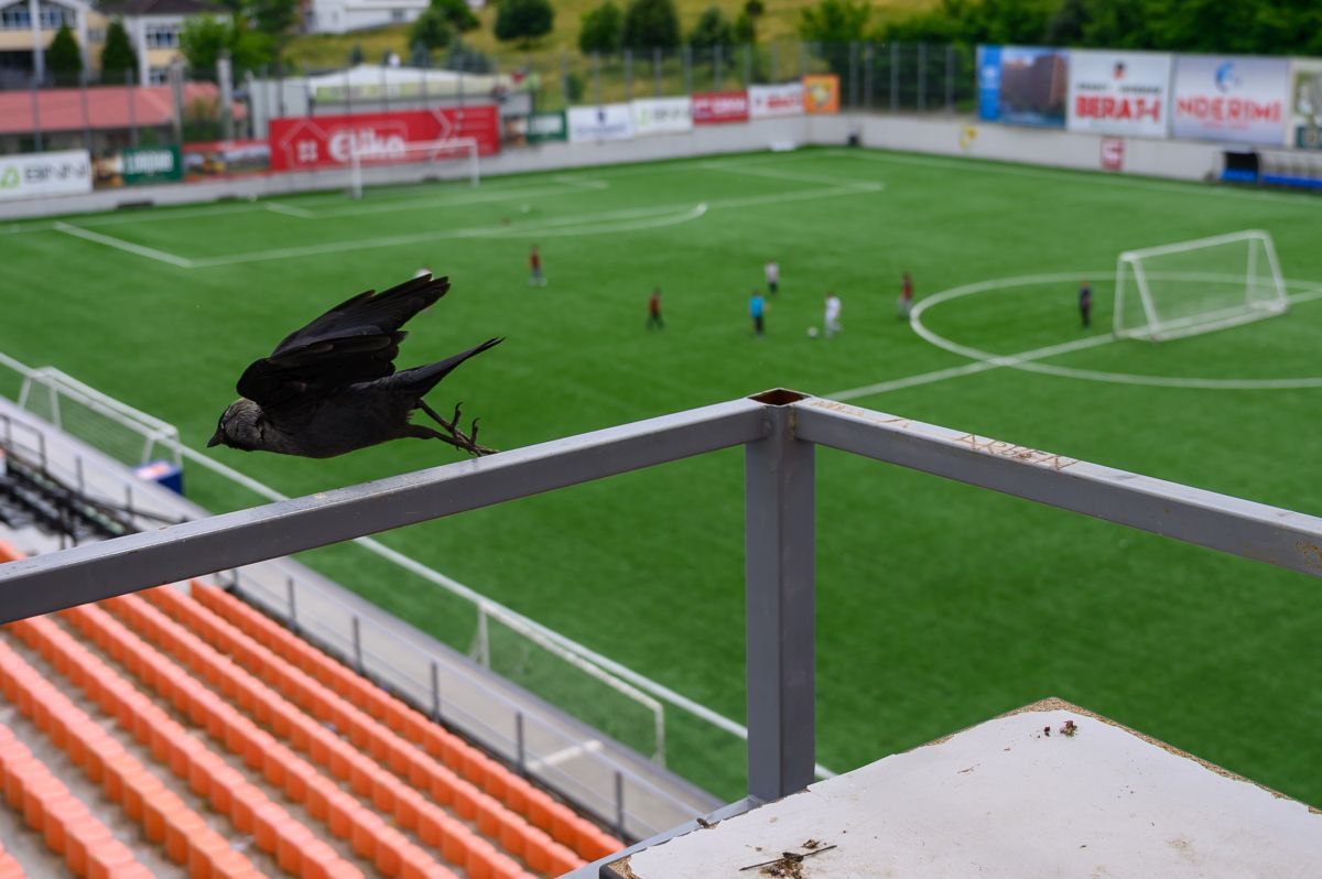 Stadionul lui FC Ballkani din Suhareka, Kosovo (foto: Raed Krishan/GSP)