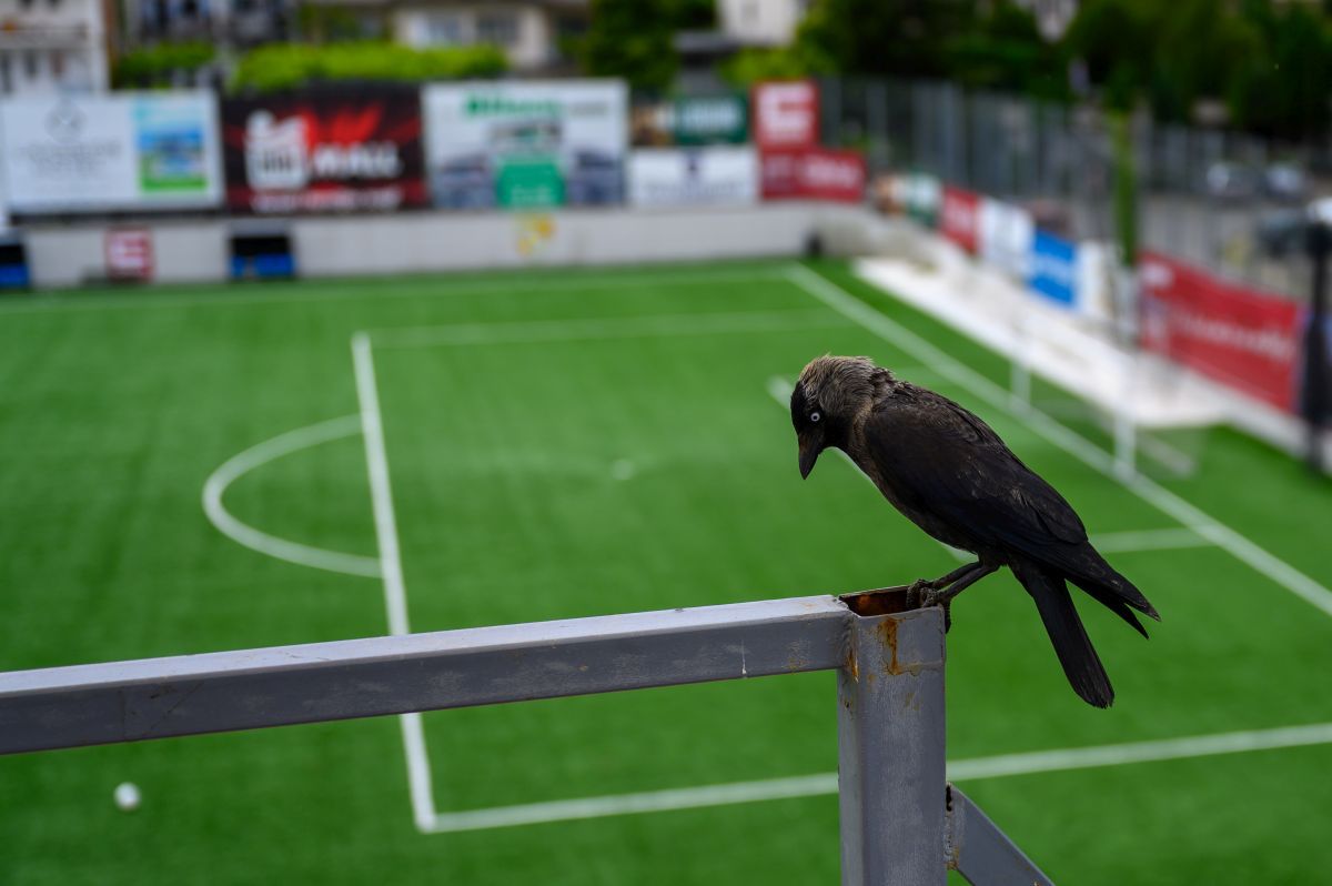 Stadionul lui FC Ballkani din Suhareka, Kosovo (foto: Raed Krishan/GSP)