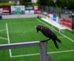 Stadionul lui FC Ballkani din Suhareka, Kosovo (foto: Raed Krishan/GSP)