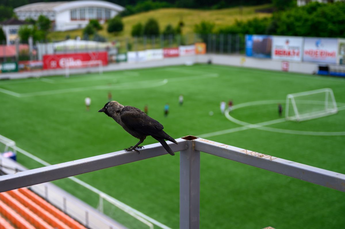 Stadionul lui FC Ballkani din Suhareka, Kosovo (foto: Raed Krishan/GSP)