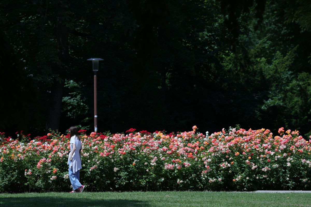Un contrast frapant! Concluzii după o săptămână în Bratislava: prețuri, trafic + care este asemănarea neașteptată cu Bucureștiul