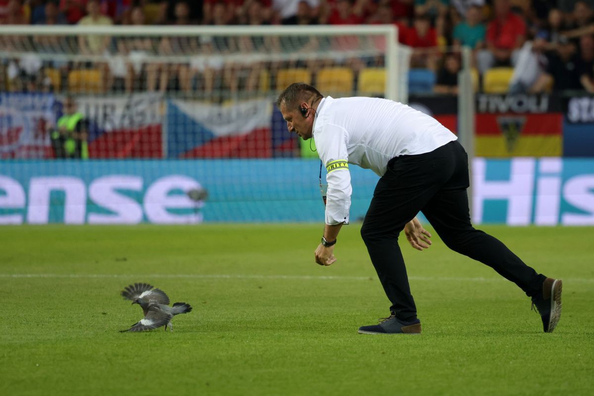 Scene inedite în meciul serii de la Europeanul U21 » Joc întrerupt dintr-un motiv neobișnuit: tot stadionul s-a ridicat și a aplaudat în picioare