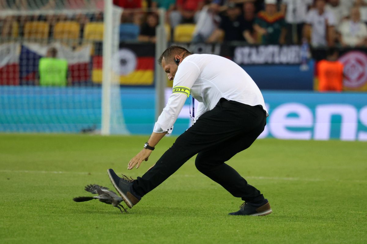 Scene inedite în meciul serii de la Europeanul U21 » Joc întrerupt dintr-un motiv neobișnuit: tot stadionul s-a ridicat și a aplaudat în picioare