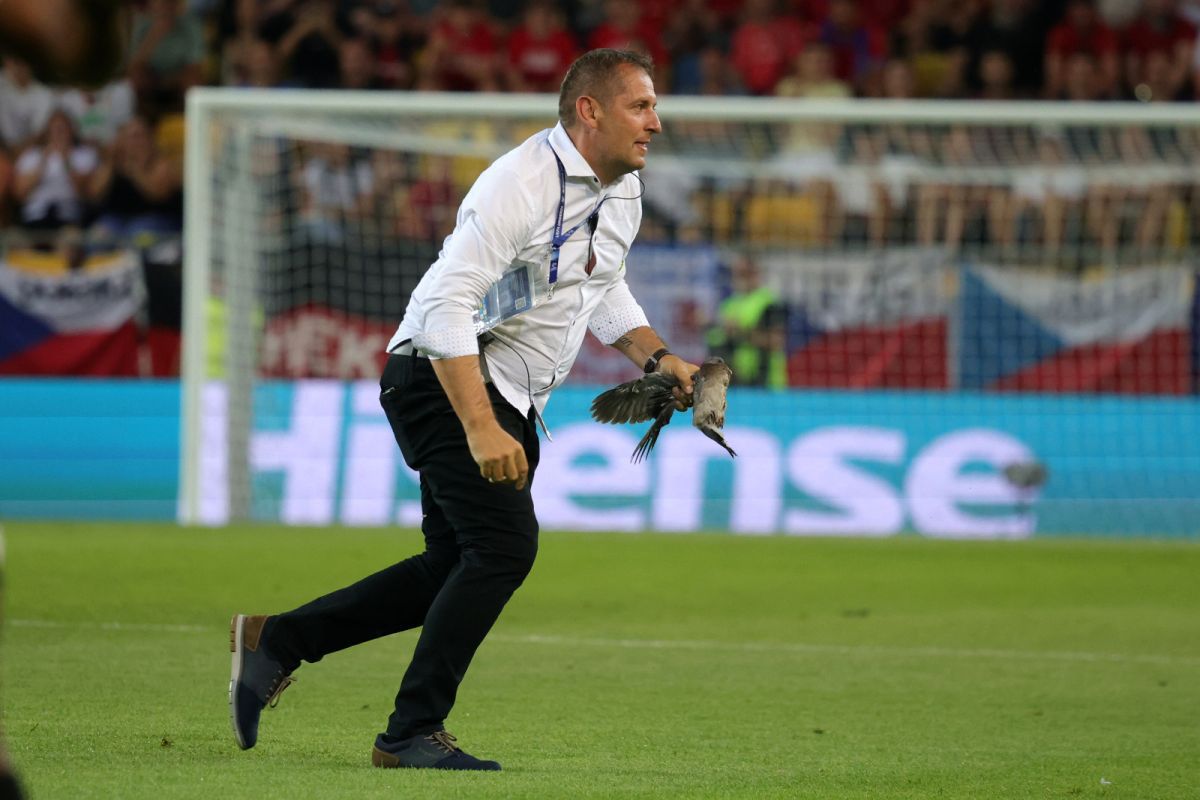 Scene inedite în meciul serii de la Europeanul U21 » Joc întrerupt dintr-un motiv neobișnuit: tot stadionul s-a ridicat și a aplaudat în picioare