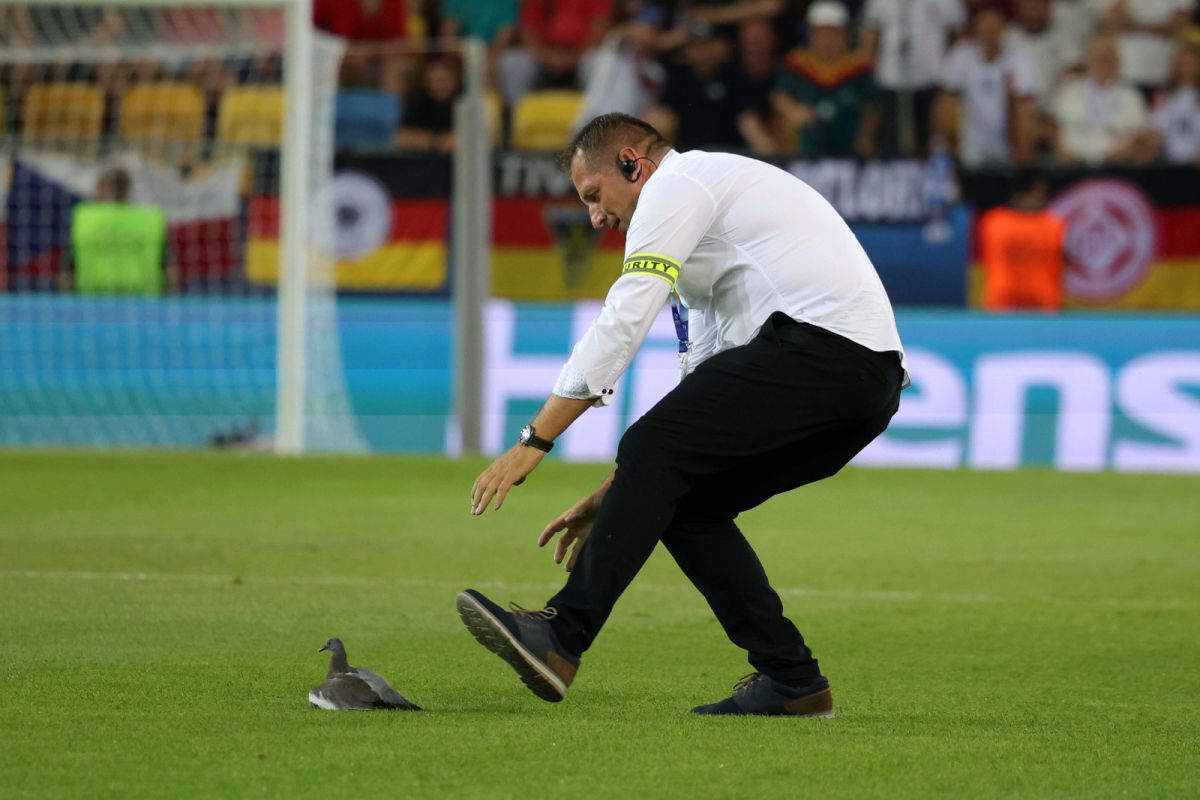 Scene inedite în meciul serii de la Europeanul U21 » Joc întrerupt dintr-un motiv neobișnuit: tot stadionul s-a ridicat și a aplaudat în picioare