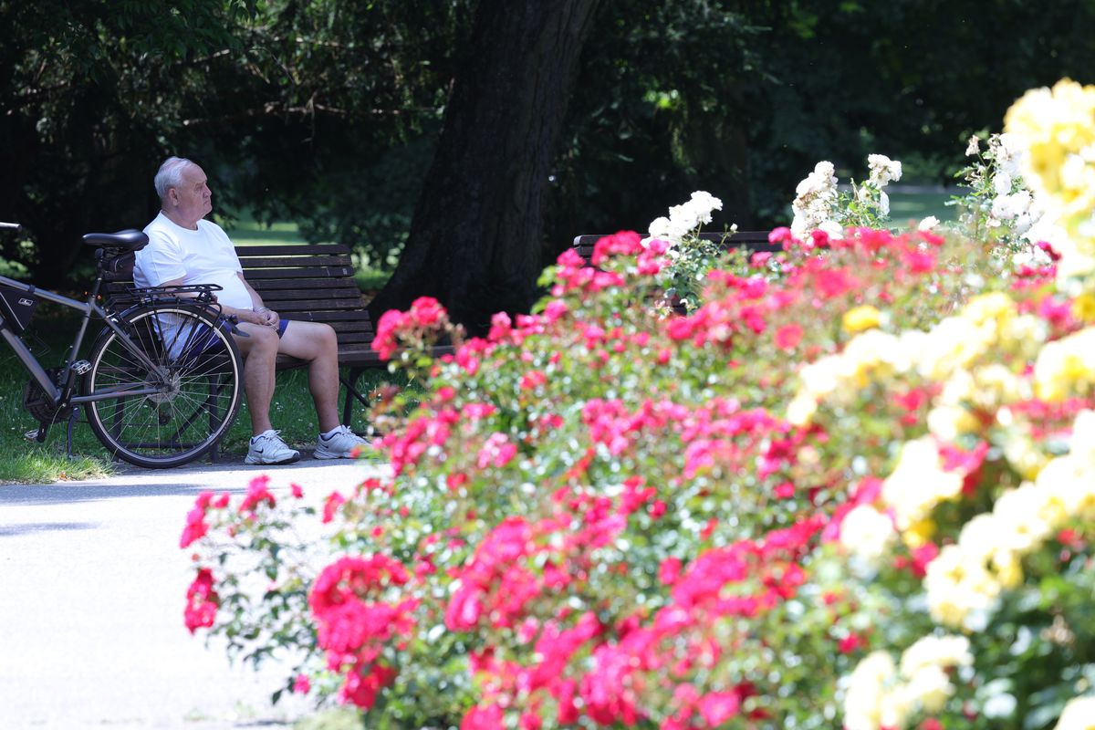 Un contrast frapant! Concluzii după o săptămână în Bratislava: prețuri, trafic + care este asemănarea neașteptată cu Bucureștiul