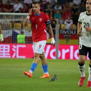Pasărea care a întrerupt pentru scurt timp meciul Cehia - Germania de la EURO 2025 / FOTO: Ionuț Iordache (GSP)