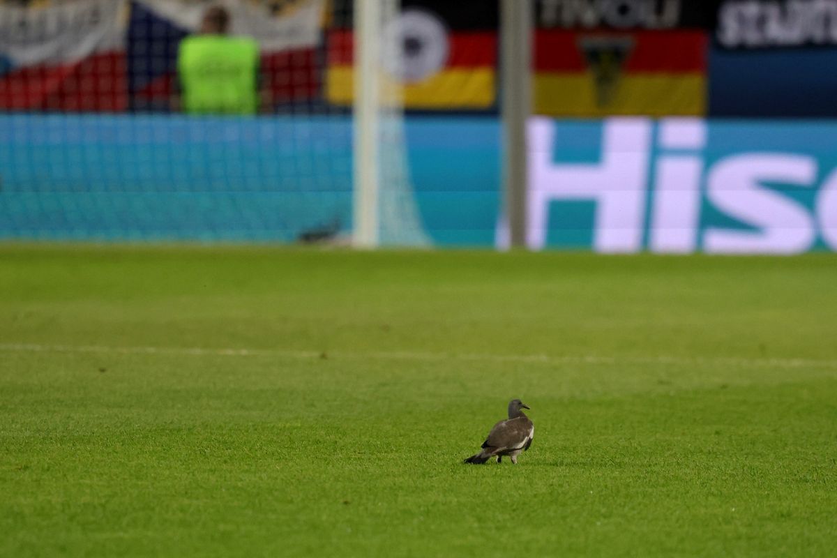 Scene inedite în meciul serii de la Europeanul U21 » Joc întrerupt dintr-un motiv neobișnuit: tot stadionul s-a ridicat și a aplaudat în picioare