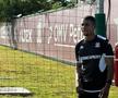Reunire Rapid sub comanda lui Daniel Pancu