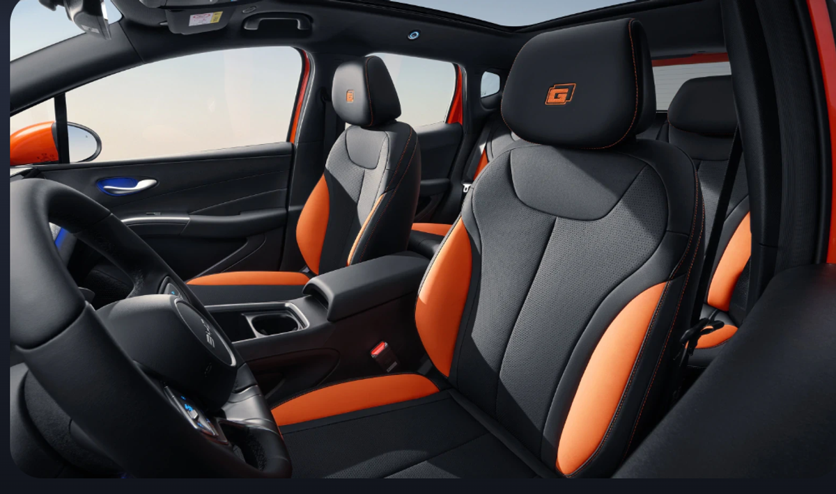 BYD Dolphin G DM-i