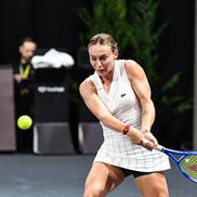 Ana Bogdan (8)